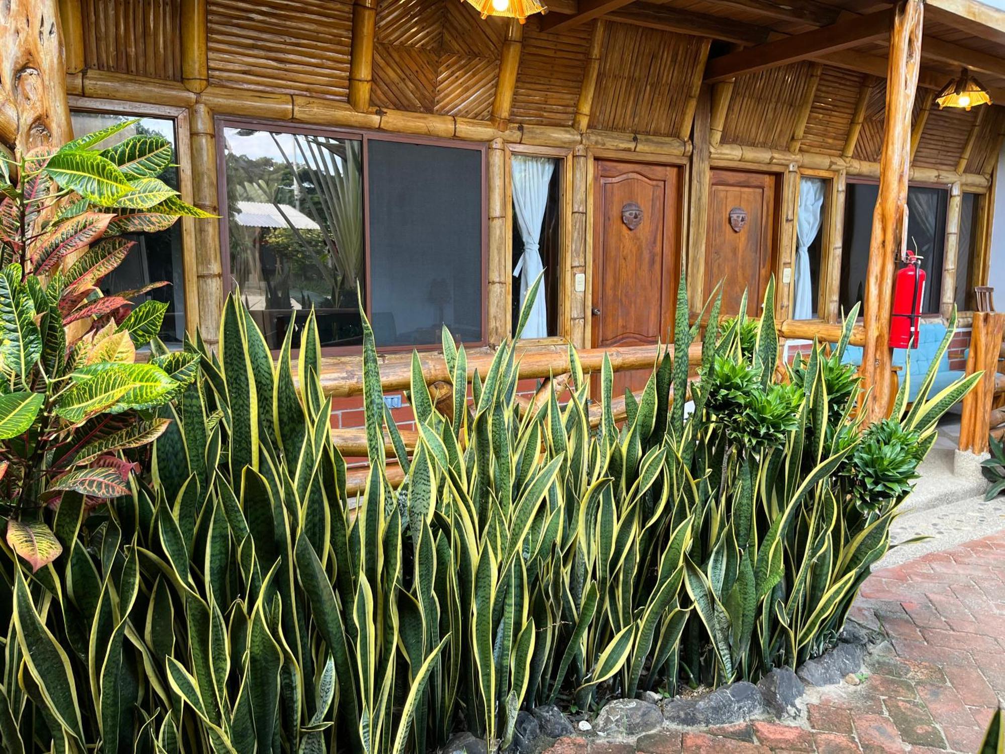 Puerto López Victor Hugo Hotel מראה חיצוני תמונה